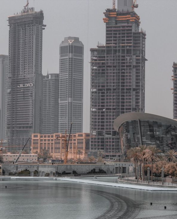 UAE Real Estate Marketplace outcome